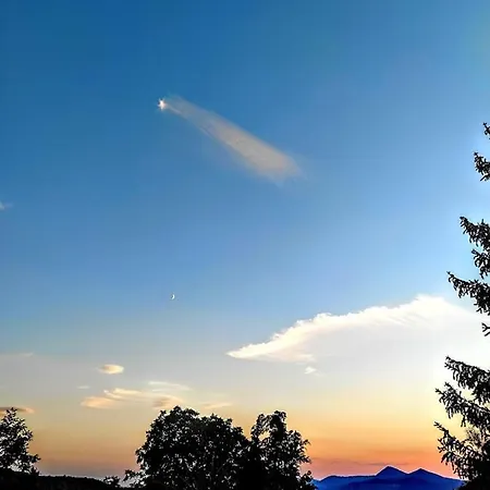 Lazenska Hvezdicka * Литомержице