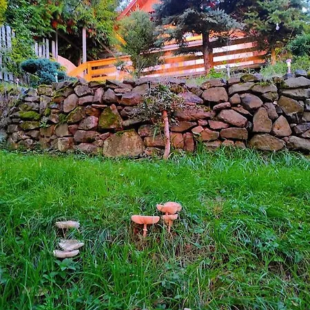 Lazenska Hvezdicka Дом отдыха