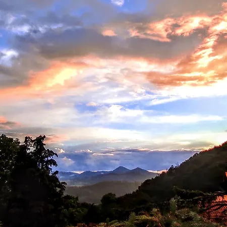 Lazenska Hvezdicka *