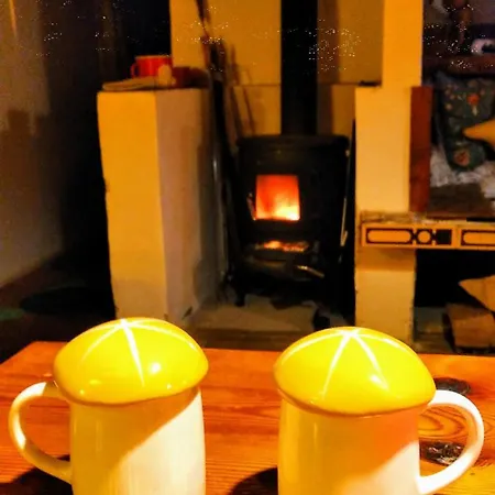 Lazenska Hvezdicka *