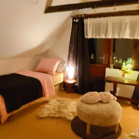 Lazenska Hvezdicka *