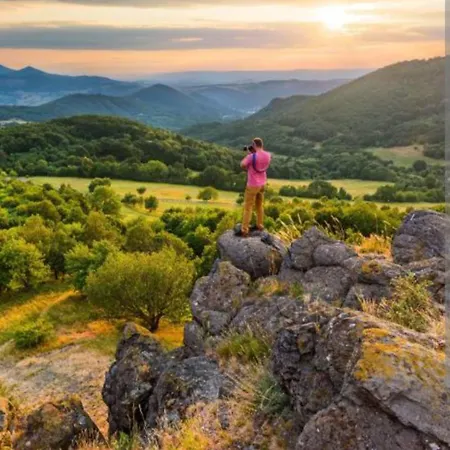 Lazenska Hvezdicka * Литомержице