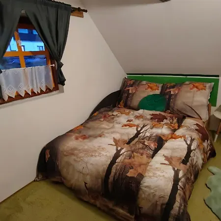 Lazenska Hvezdicka *