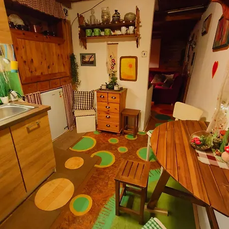 Lazenska Hvezdicka *