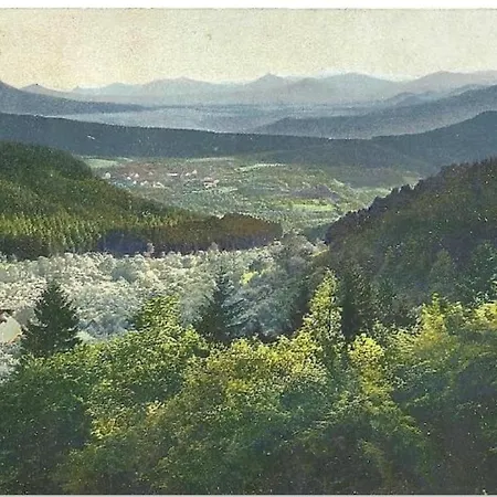 Vakantiehuis Lesni Hvezdicka
