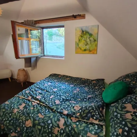 Lesni Hvezdicka * Litoměřice